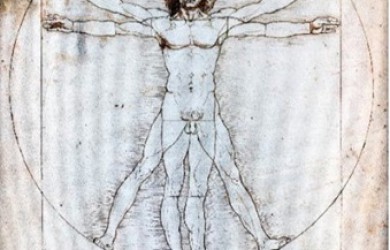 Image of Vitruvian Man by da Vinci