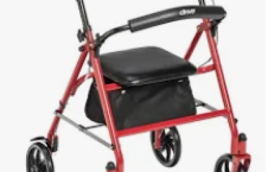 photo of mobility walker